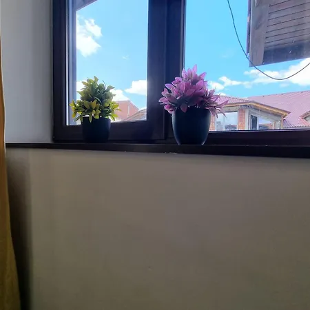 Mountain Paradise 2 - Cosy 2 Bed Mountain View - Washer * בנסקו