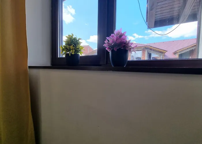 Mountain Paradise 2 - Cosy 2 Bed Mountain View - Washer * بانسكو